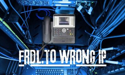 frdl.to Wrong IP