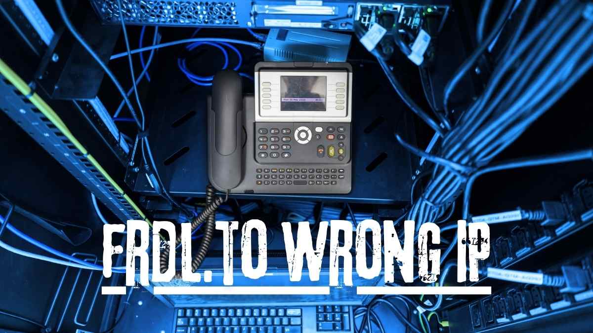 frdl.to Wrong IP