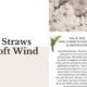 Small Straws in a Soft Wind